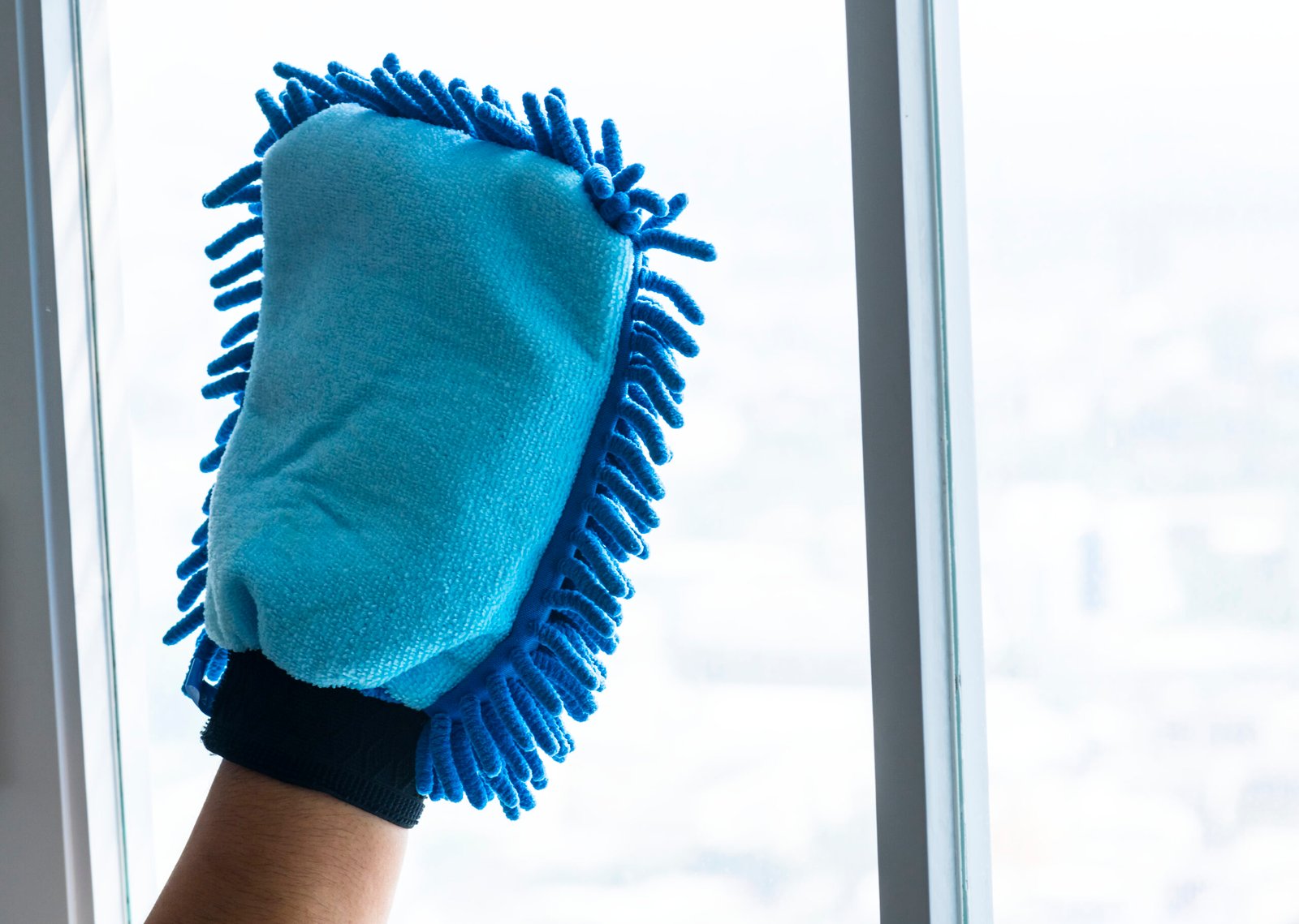 Reinigung in Lörrach